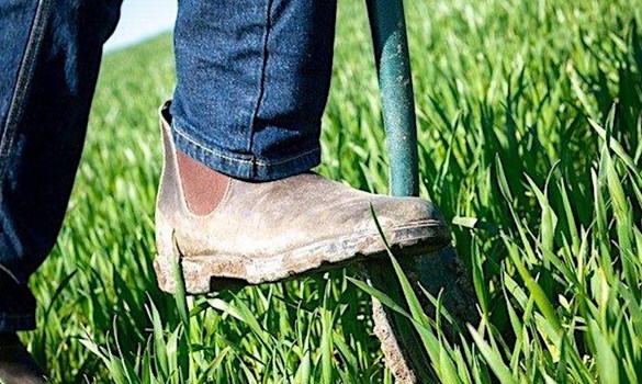 Close up of someone wearing boots and jeans digging into long grass with a shovel